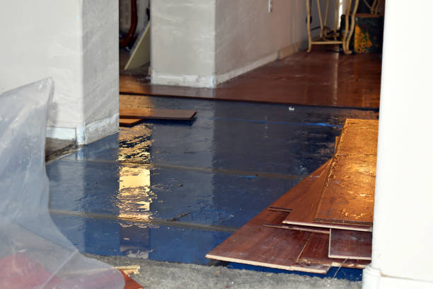 Professional Flood Damage Repair technician working in Cross River, NY